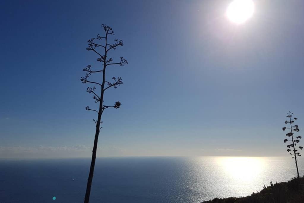 Suite Milu Cagliari Zewnętrze zdjęcie